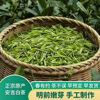 高档正宗安吉白茶2024年新茶明前特级珍稀白茶茶叶高山绿茶250g