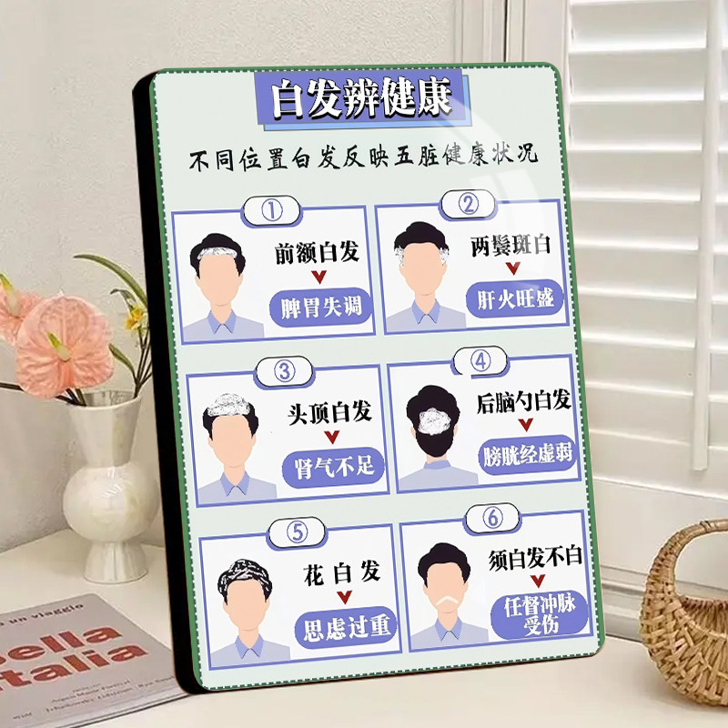 白发辨健康科普相框摆台养发馆美发店养生护发五脏健康装饰画摆件