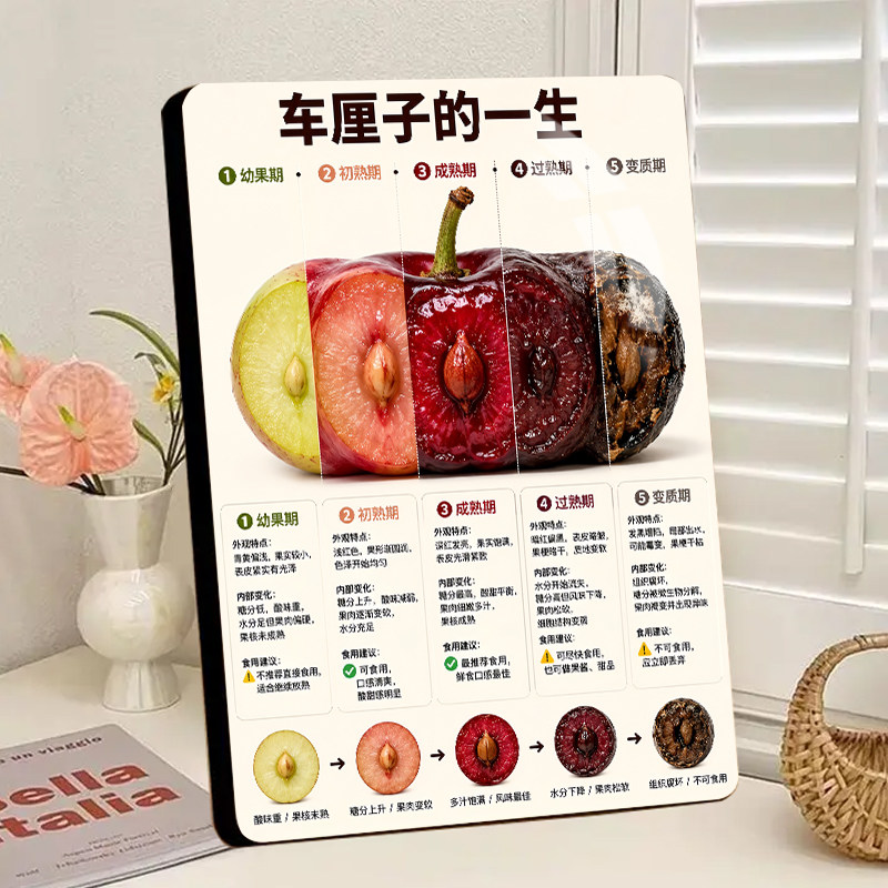 车厘子的一生水晶相框摆台新款高颜值立体水果店桌面装饰摆件