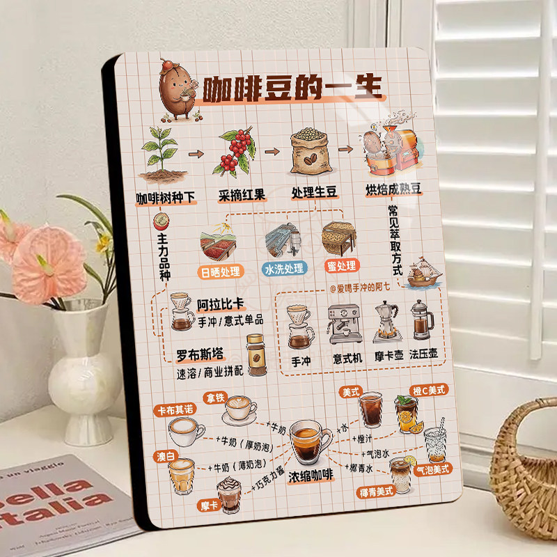 咖啡豆的一生咖啡馆桌面介绍展示板相框摆件咖啡门店客厅厨房装饰