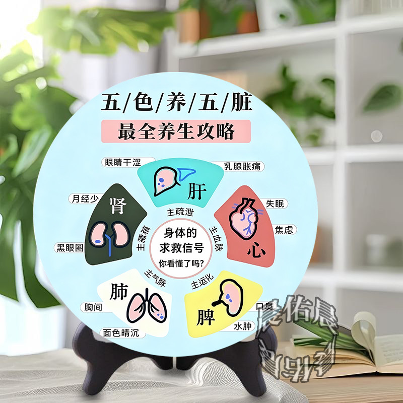 中医五行脏腑圆形摆台养生攻略装饰摆件传统医学知识养生中医馆