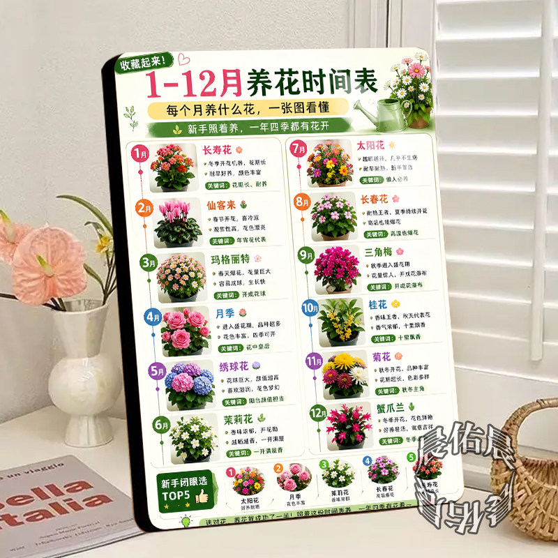 1-12月养花时间表水晶相框摆台新手养花指南花店园艺店桌面摆件