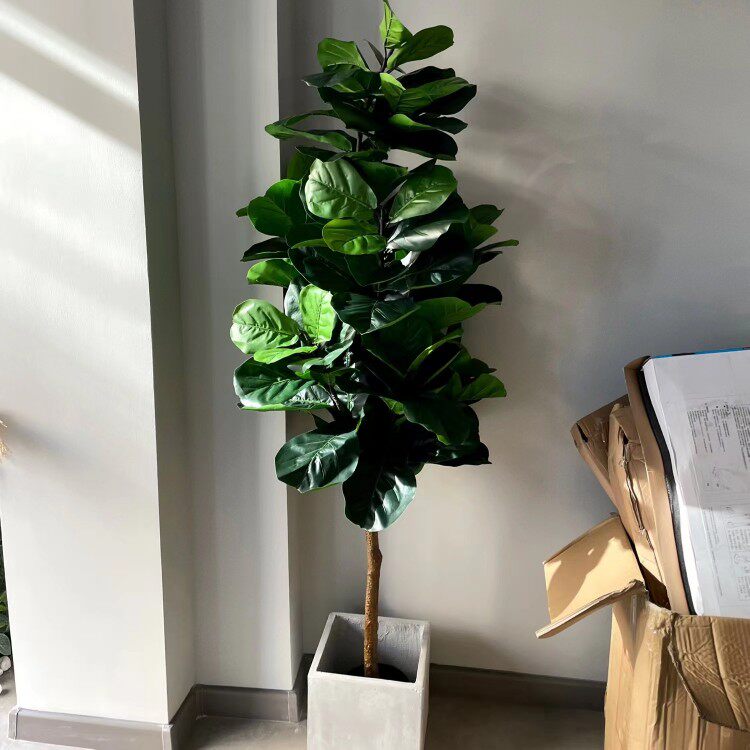 琴叶榕北欧仿真植物测试推荐