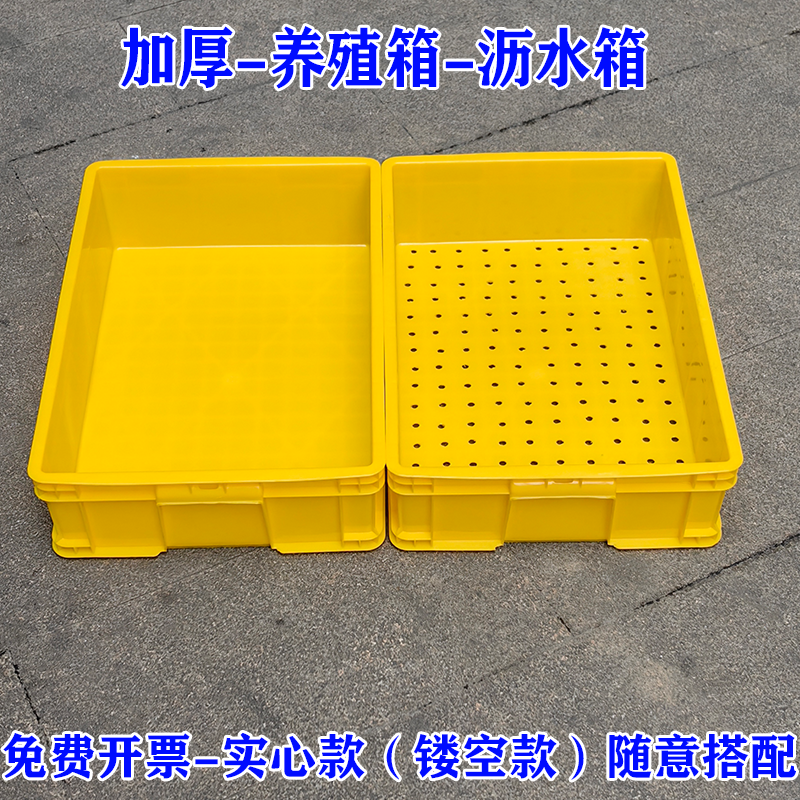 沥水打孔周转箱底部排水周转箱种植箱漏水镂空底塑料筐种花种菜筐