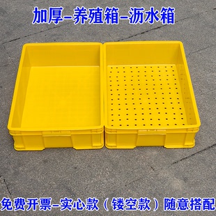 沥水打孔周转箱底部排水周转箱种植箱漏水镂空底塑料筐种花种菜筐
