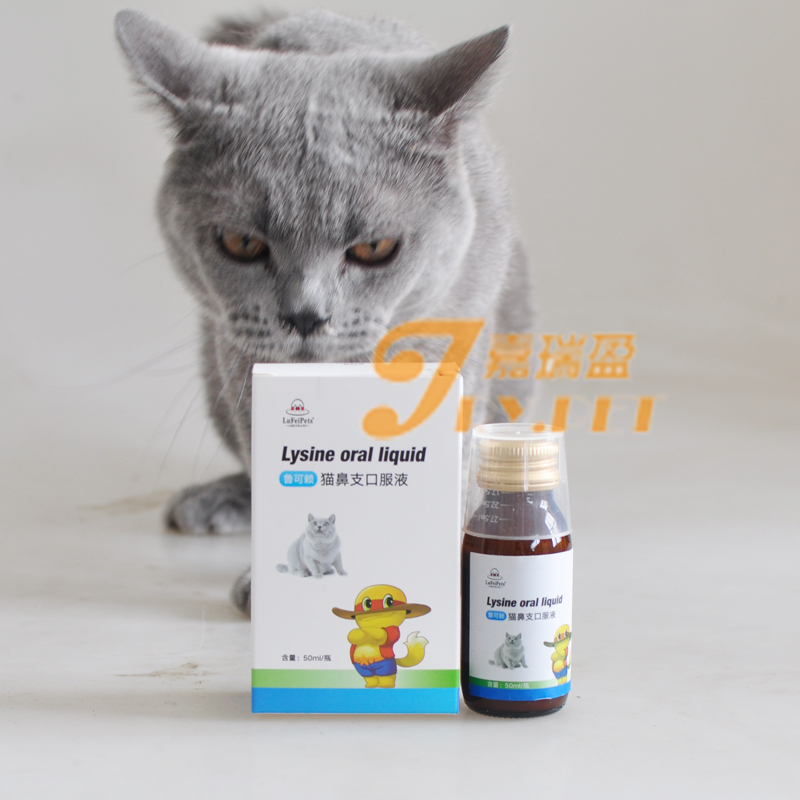 鲁飞鼻支感冒打喷嚏猫胺赖氨酸