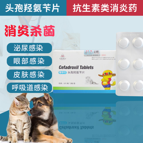 皮肤外伤价格 皮肤外伤图片 星期三