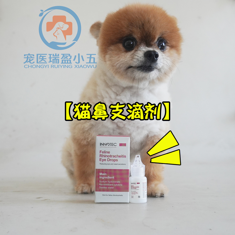 鼻支感冒打喷嚏猫胺赖氨酸