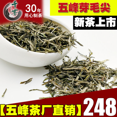 散装新茶五峰千雾毛尖湖北三峡