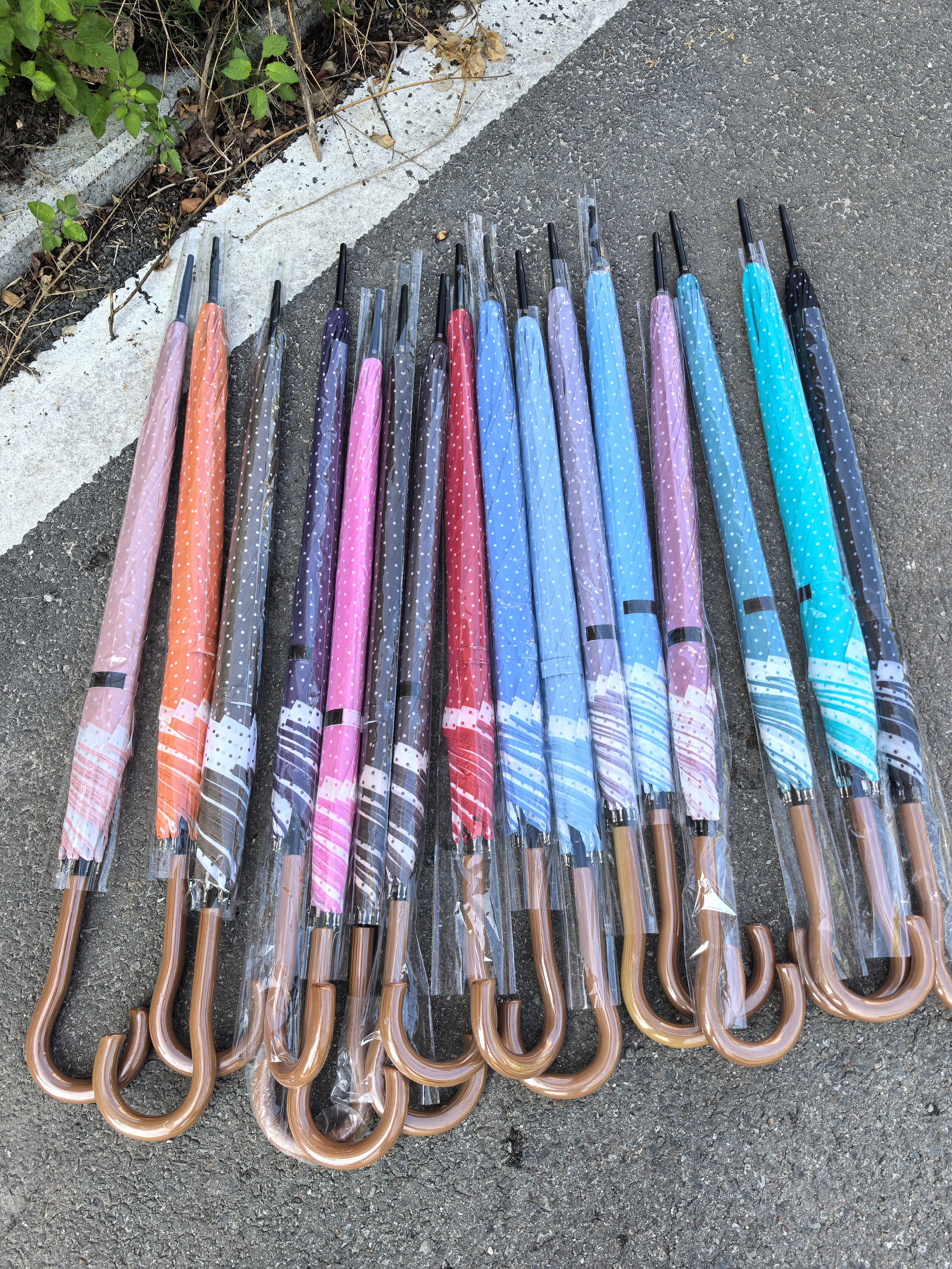 出日式小清新简约波点成人女士7骨加固抗风伞 轻量女生防风雨伞