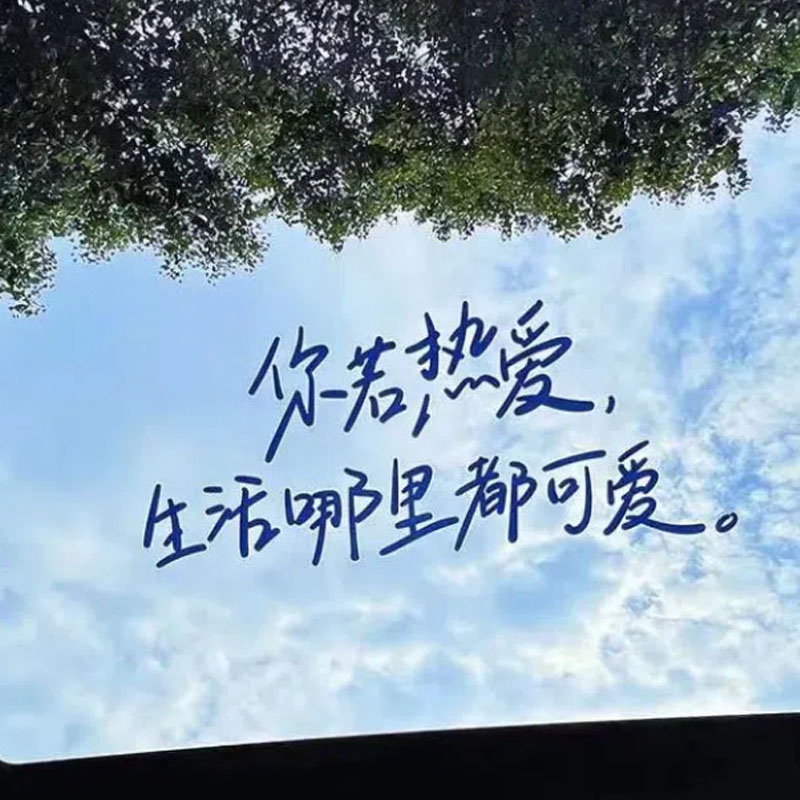 你若热爱生活哪里都可爱汽车贴纸