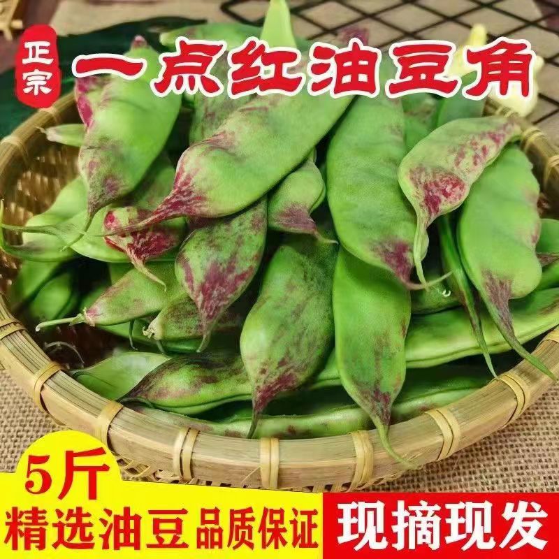 正宗东北油豆角现摘新鲜一点红开锅烂面豆角纯油豆九月青现发包邮