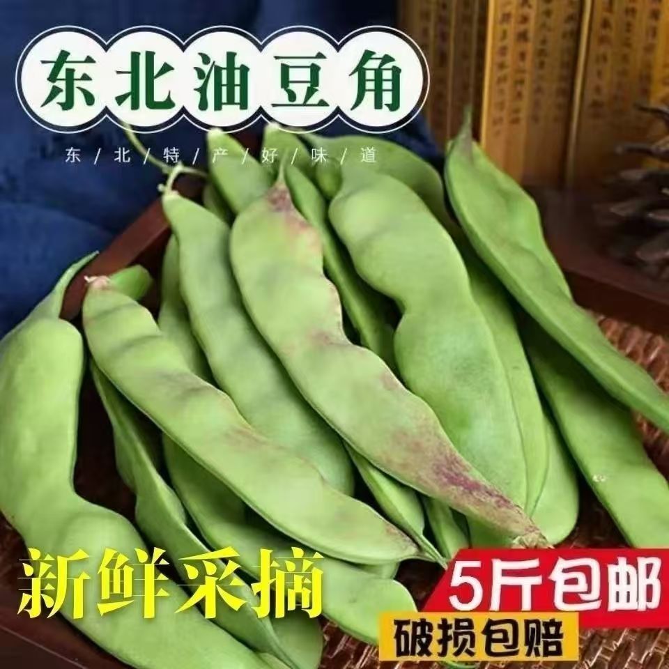 正宗东北油豆角新鲜现摘一点红油豆九月青纯油豆面豆开锅烂包邮顺