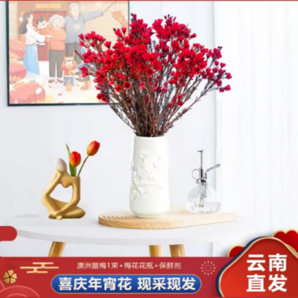 鲜切澳洲腊梅年宵花云南基地直发室内摆放送营养液,鲜花速递/花卉仿真/绿植园艺,花材,淘宝优惠券,粉丝福利购,淘宝优惠卷