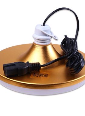 12vled夜市摆地摊专用插电动车三轮车夹子线品插头通用直流低压灯