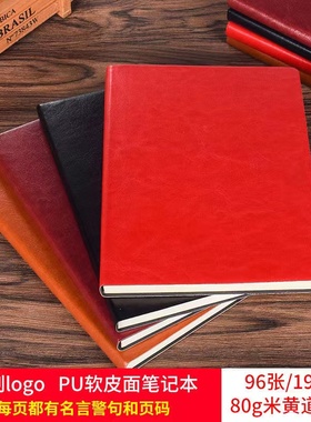 博文DS25-2创意笔记本文具商务软皮记事本加厚A5本子简约手账可