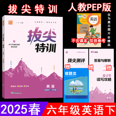 拔尖特训6六年级英语下册人教版