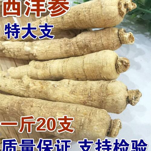 正宗长白山西洋参整枝500克精选大支花旗参段洋参段切片粉
