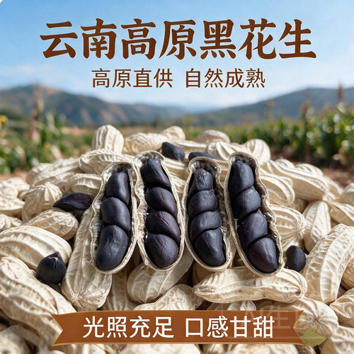 2026年新货富硒黑花生黑皮花生