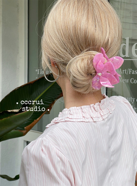 CCCRUI网红高级水钻三角梅花朵抓夹醋酸轻奢精致鲨鱼夹气质盘发夹