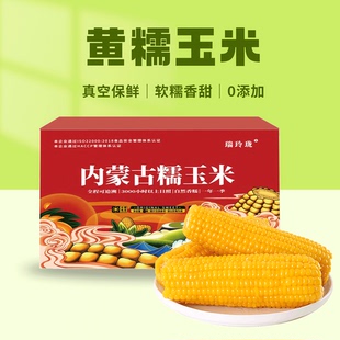 糯玉米瑞玲珑内蒙古糯玉米即食粘玉米棒甜糯巴彦淖尔12支真空