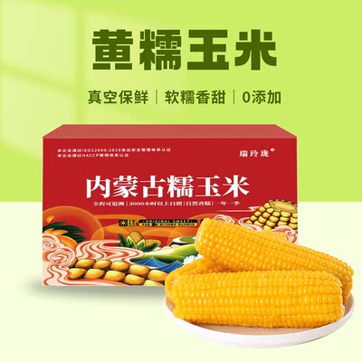 糯玉米瑞玲珑内蒙古糯玉米即食粘玉米棒甜糯巴彦淖尔真空包装