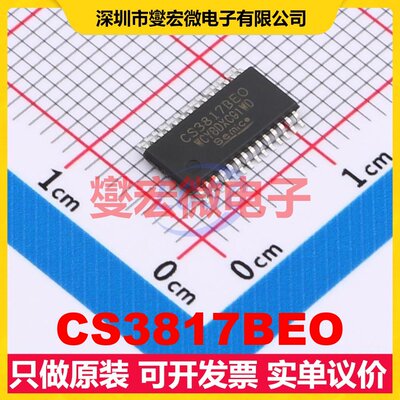 CS3817BEO HTSSOP-28 D类功放音频放大器芯片IC