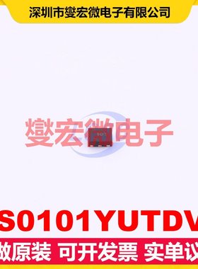RS0101YUTDV6 DFN-6(1x1.5) 电平转换/位移器芯片IC