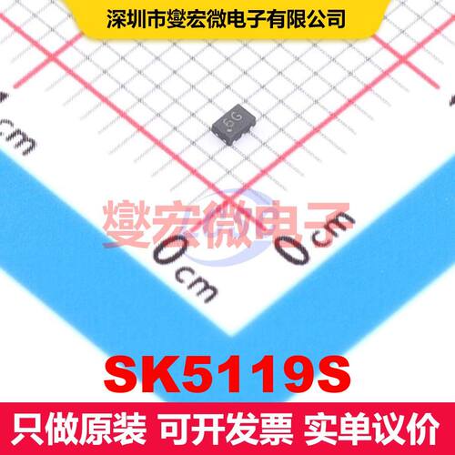 SK5119S DFN-6(1x1.5) 仪器放大器 线性 集成芯片IC