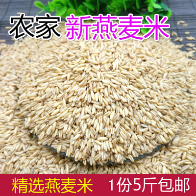 新鲜去皮燕麦米燕麦仁粗粮