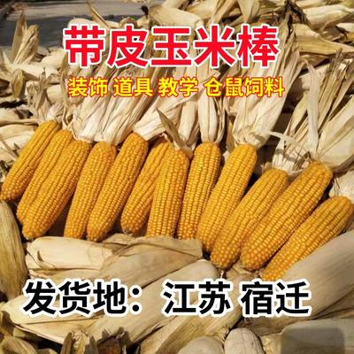 带皮干玉米棒老玉米新货