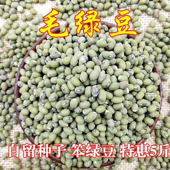 农家自产新鲜毛绿豆无抛光