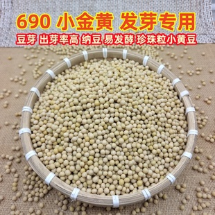 小金黄690小黄豆发豆芽纳豆专用很小粒黄豆当季 新货发芽豆珍珠豆