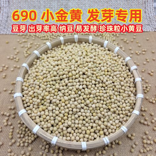 新货690小金黄发芽专用小黄豆