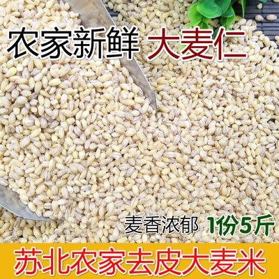 新货农家新鲜大麦仁去皮麦仁大麦米散装八宝粥原料2500g5斤包邮