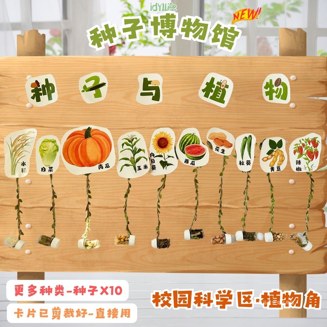 种子博物馆植物标本科普幼儿园装饰环创自然角宣传彩色手工教具