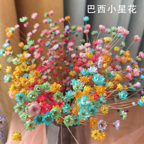 ins网红干花装饰摆件清新永生