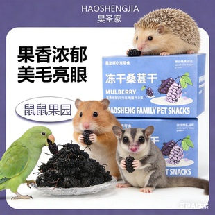 仓鼠零食无添加桑葚干补充维生素金丝熊豚鼠龙猫兔互动小零食鹦鹉