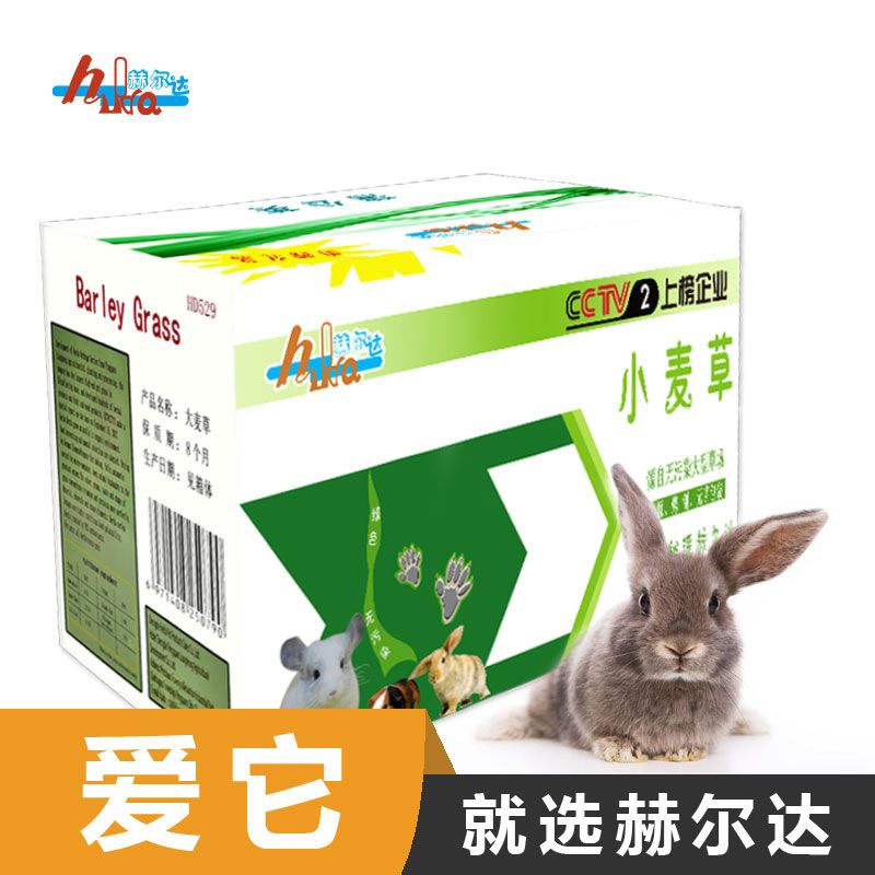 星姐龙猫活体精品22年烘干小麦