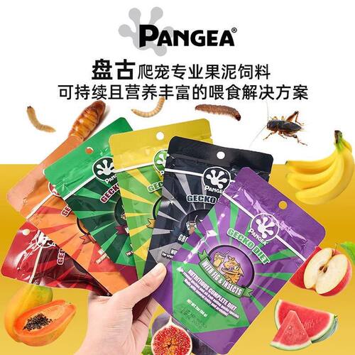 盘古守宫果泥R牌果泥睫角果泥R牌果泥守宫西瓜味无花果味分装30克
