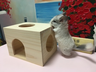 星姐龙猫狐獴龙猫窝木屋情侣窝实木窝单人窝双人窝宠物木窝