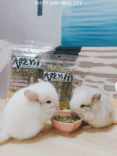 营养龙猫马祖瑞主粮适口性好