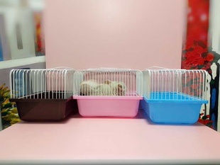 星姐龙猫小仓鼠笼子田园便携笼单层松鼠龙猫金丝熊狐獴幼崽外带笼
