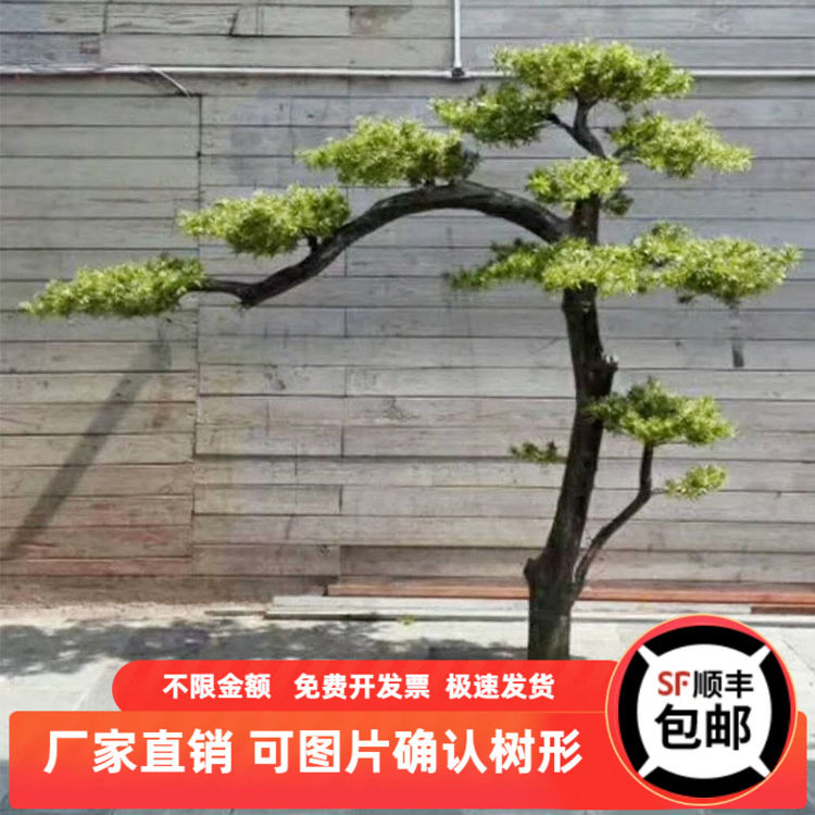 仿真迎客松树大型雪松美人花艺罗汉松商场酒店干树枝装饰造型定制