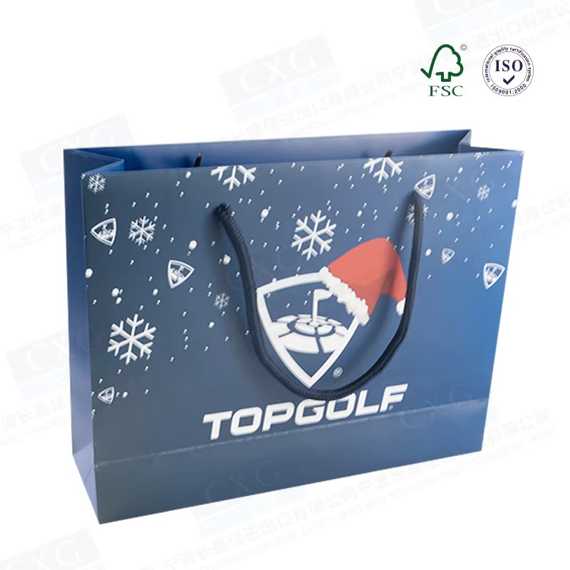 手提袋纸袋定制礼品袋免费设计可生物降解礼品购物袋带手柄包装袋