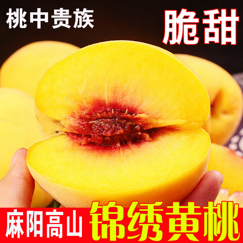 现摘现发湖南怀化麻阳新鲜黄桃水果大黄桃子应季纯甜水果整箱包邮