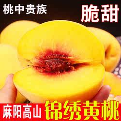 现摘现发湖南怀化麻阳新鲜黄桃水果大黄桃子应季纯甜水果整箱包邮