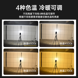 汽车工作灯手持美容抛光捕纹灯漆面补纹照明强光汽修维修灯带磁铁