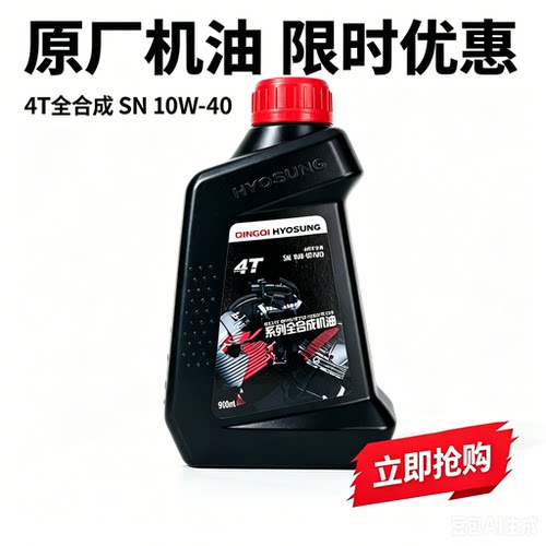 轻骑大韩晓星摩托车机油滤芯器GV300/650大脚怪250机滤润滑油原厂