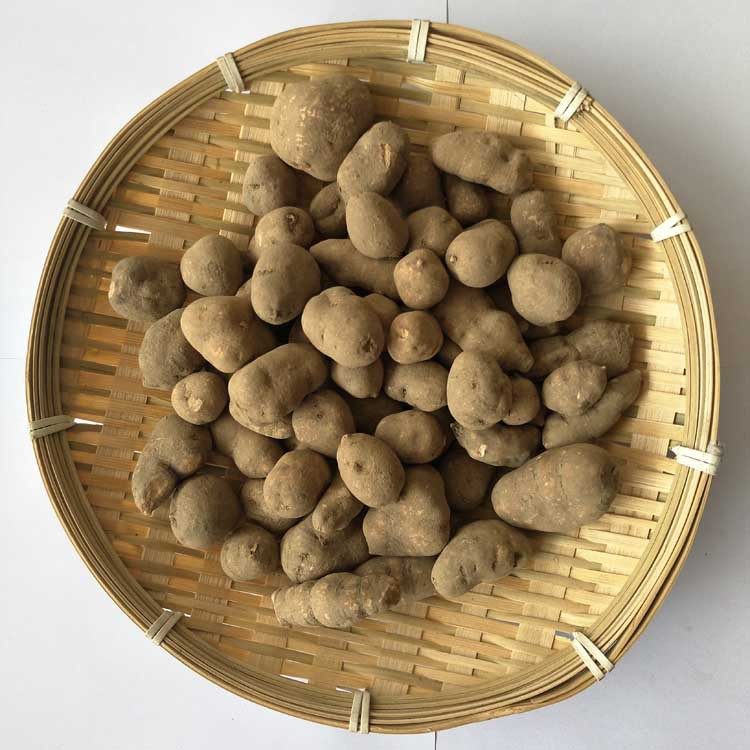 云南三叶青中药材500克吊金钟三叶扁藤石老鼠猴子金丝吊葫芦